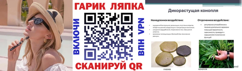 блэк спрут рабочий сайт Майкоп ГАШ 40% ТГК