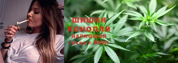трава Кодинск