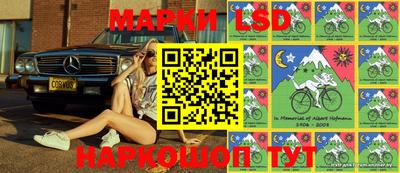 шишки Гагарин