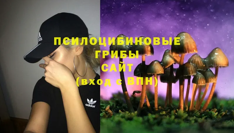 Галлюциногенные грибы Cubensis  Майкоп 