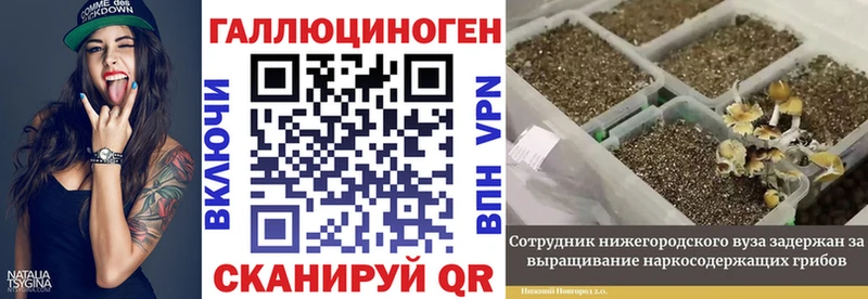 Псилоцибиновые грибы GOLDEN TEACHER  купить наркотик  MEGA рабочий сайт  Майкоп 