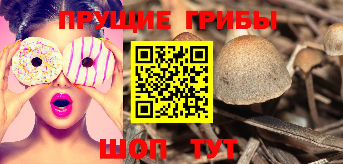 Псилоцибиновые грибы MAGIC MUSHROOMS Майкоп