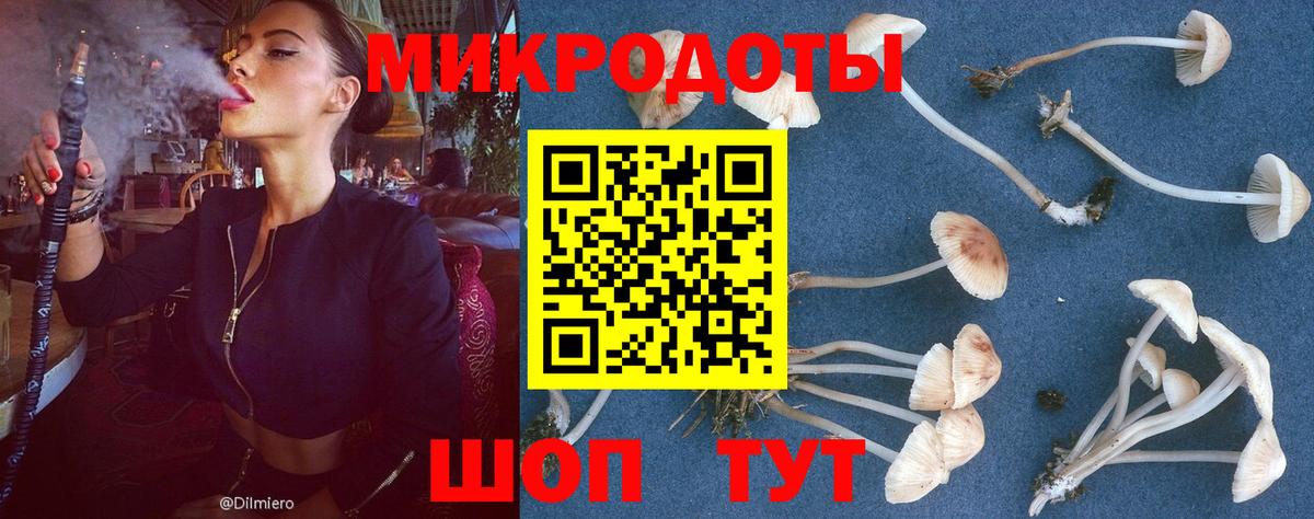 Конопля  Марихуана  Майкоп  MDMA  МЕФ кристаллы  ГАШ  A PVP СК   МЕФ   Кодеин 