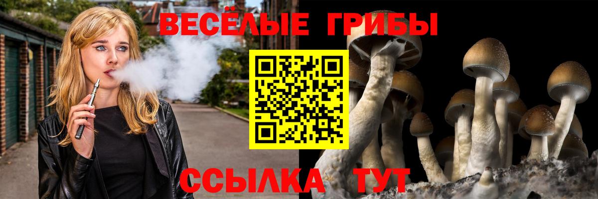Галлюциногенные грибы мухоморы  Вход с VPN  Майкоп 